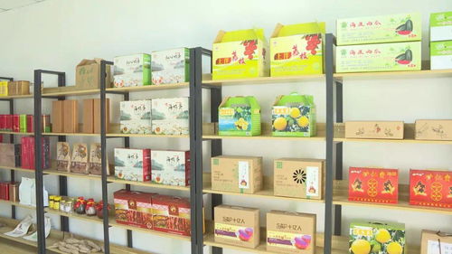 东水村建电商服务站 阳西山旮旯里的农产品插上云翅膀，开辟印刷品装订服务新渠道